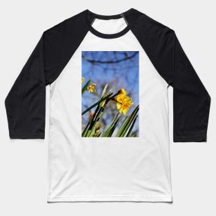 Golden Dawn Springtime Daffodil Baseball T-Shirt